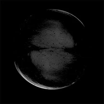 Untitled-1_0015_planet_16.jpg