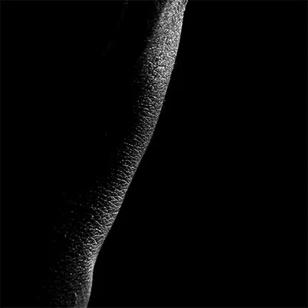 Untitled-1_0024_close3.jpg