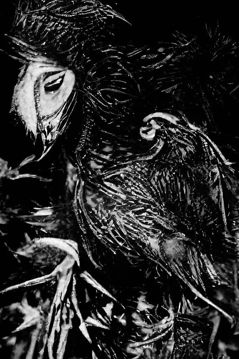Untitled-1_0000s_0001_Untitled-1_0017_Layer+32.jpg