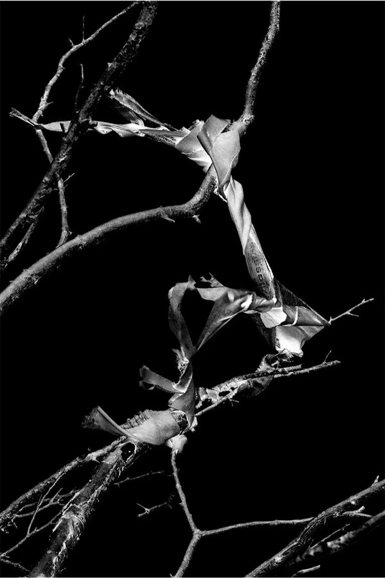 Untitled-1_0000s_0012_DSC_8354+copy.jpg