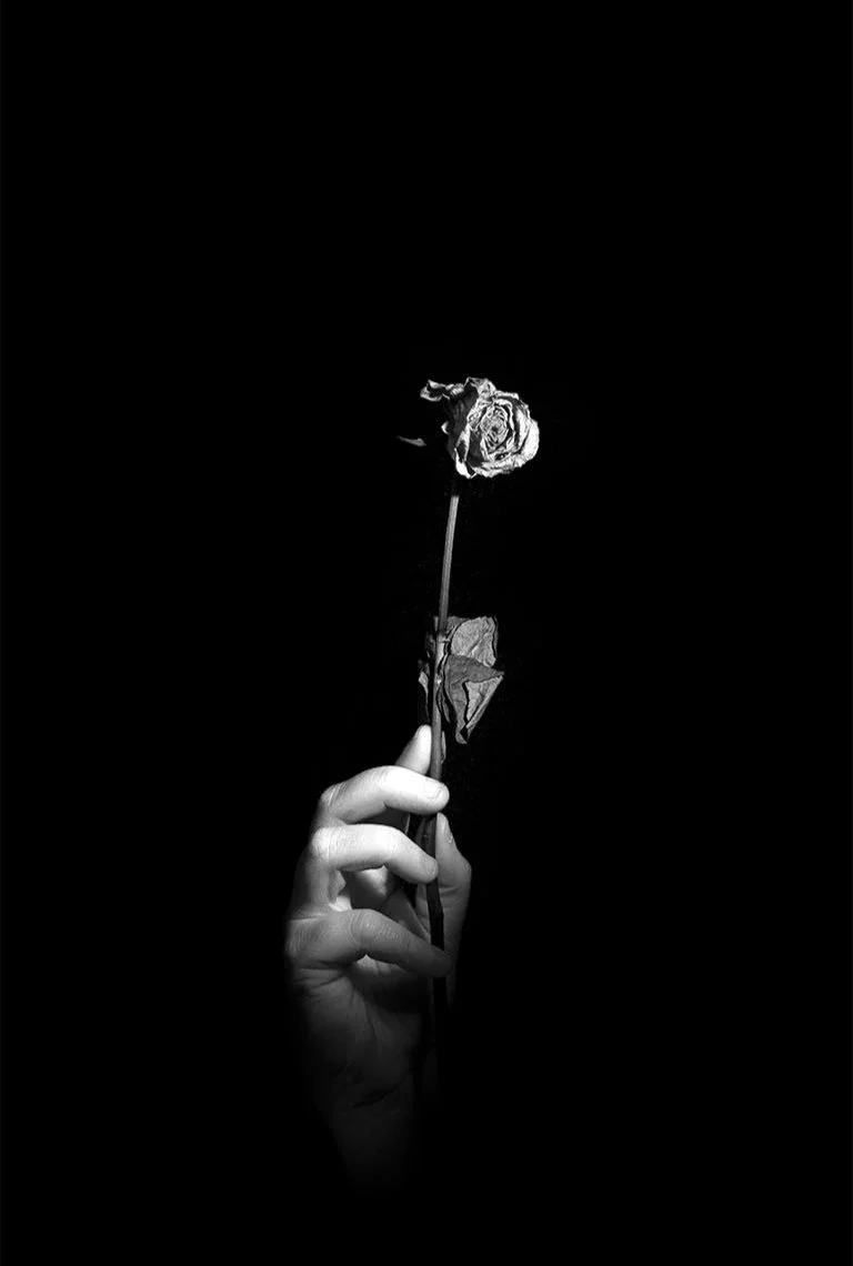 Untitled-1_0000s_0004_flower+copy.jpg