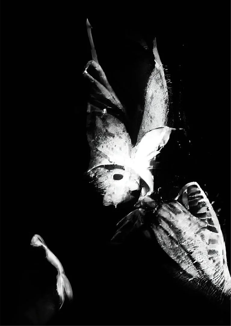 Untitled-1_0000s_0001_Untitled-1_0081_Layer+56-standard-scale-4_00x-gigapixel.jpg