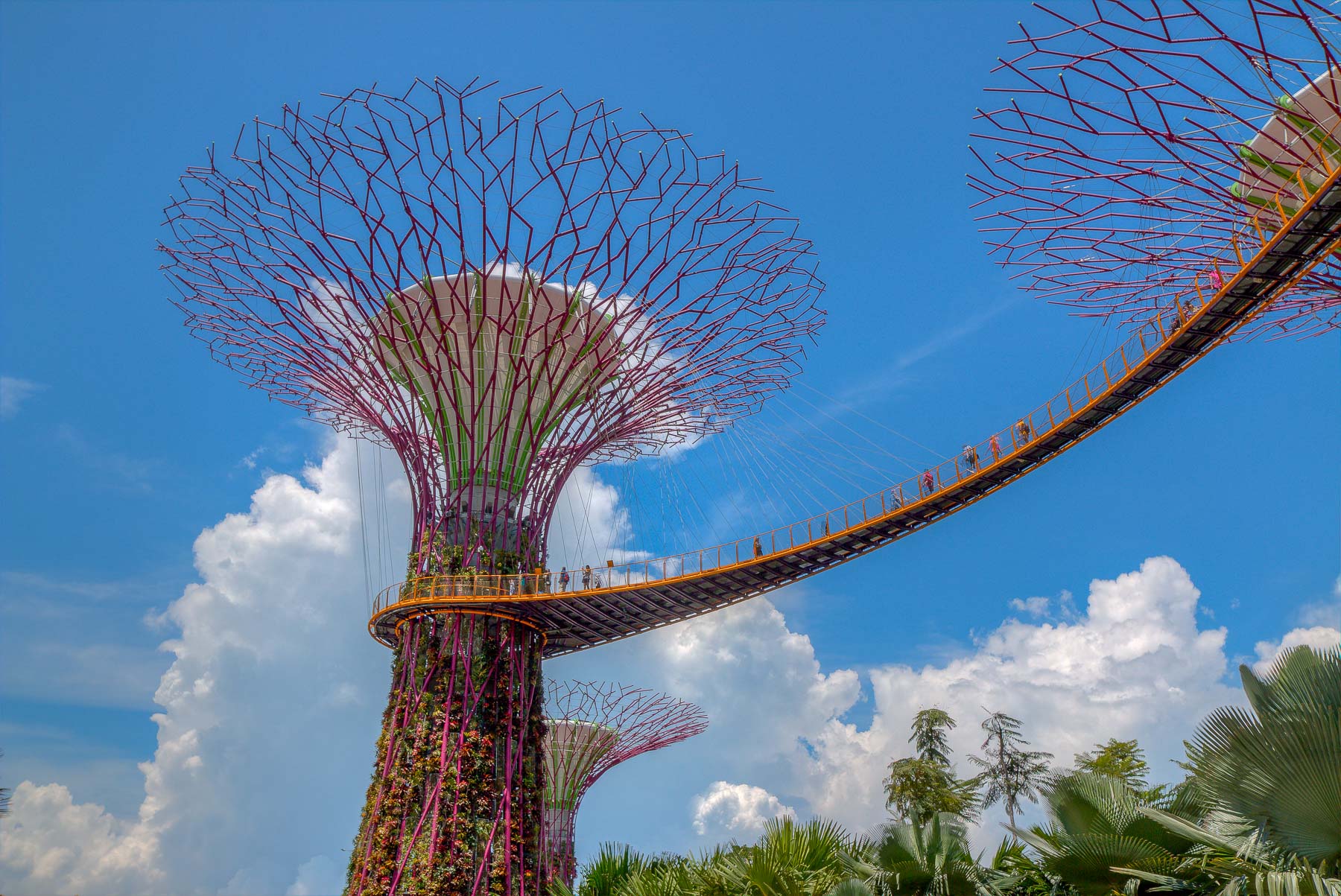 Garden By the Bay