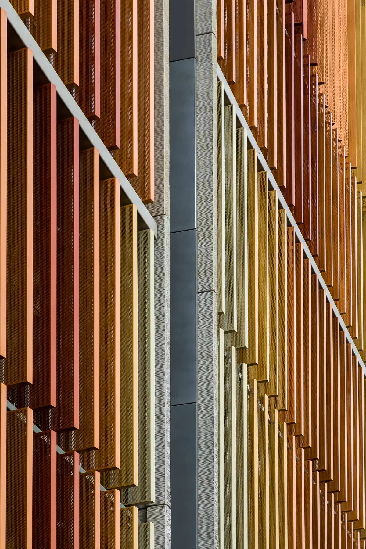 AMBRE