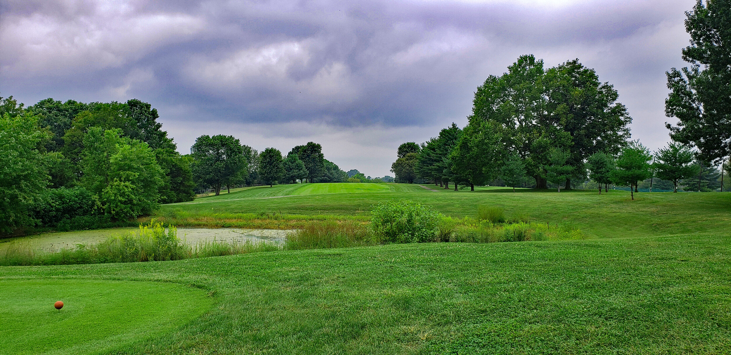 The Woodford Club_The Golfin Guy_10.jpg