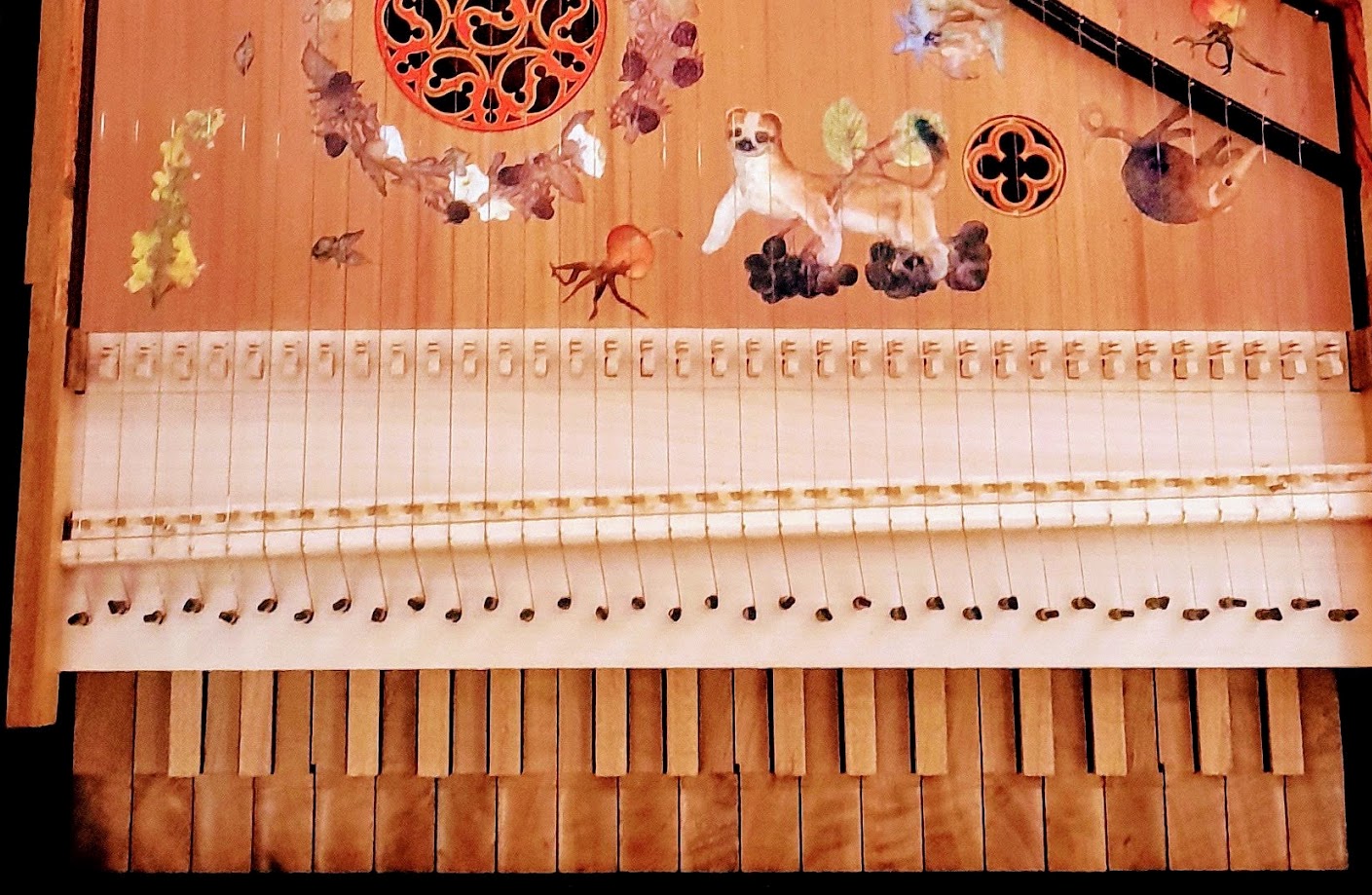 TOUR // AIR LOOM // CUBE CINEMA // BRISTOL