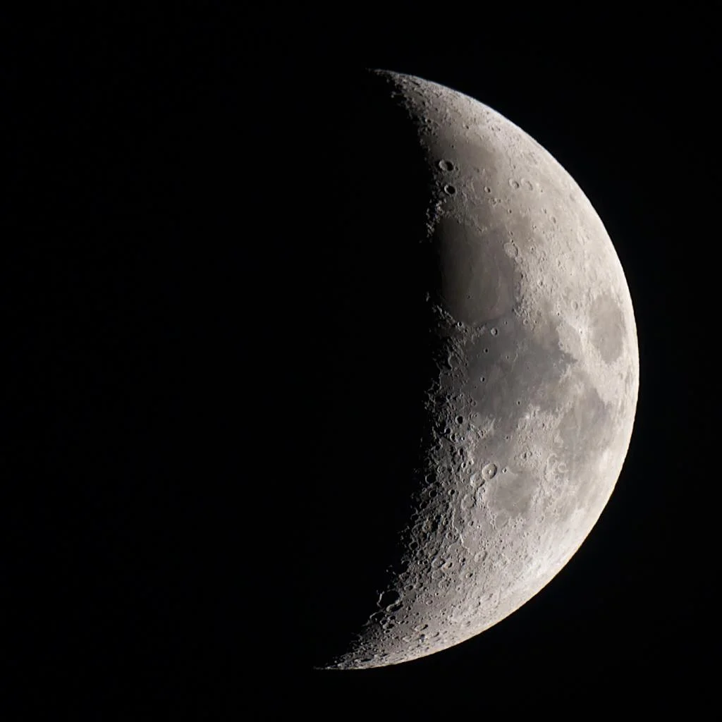 Show // Fly Me to the Moon // Petworth Festival 2019