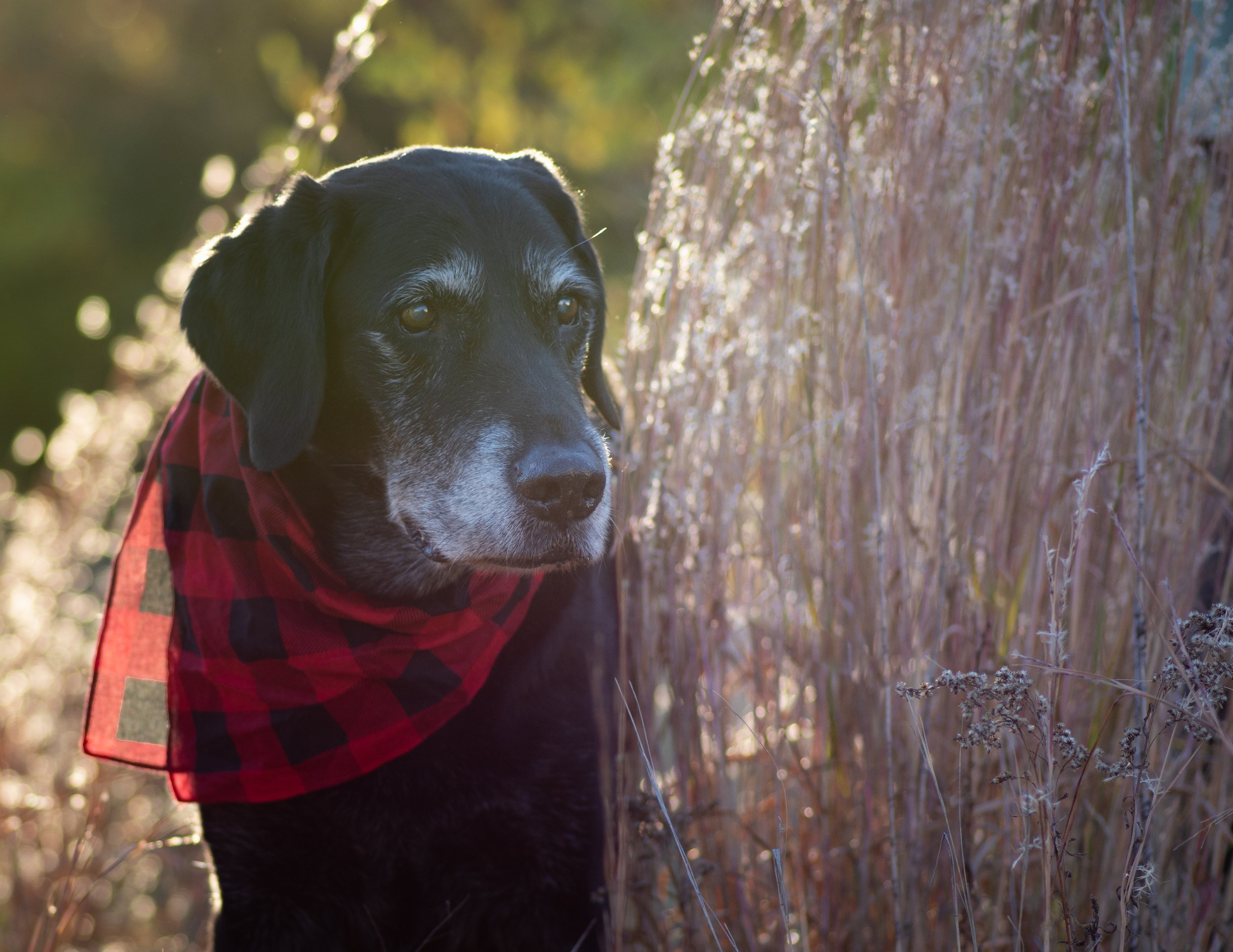 jake kimball  (1 of 1)-2.jpg