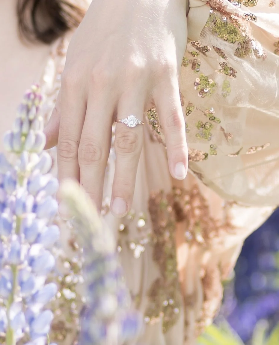 AMY TABER LUPINE-69-2.jpg