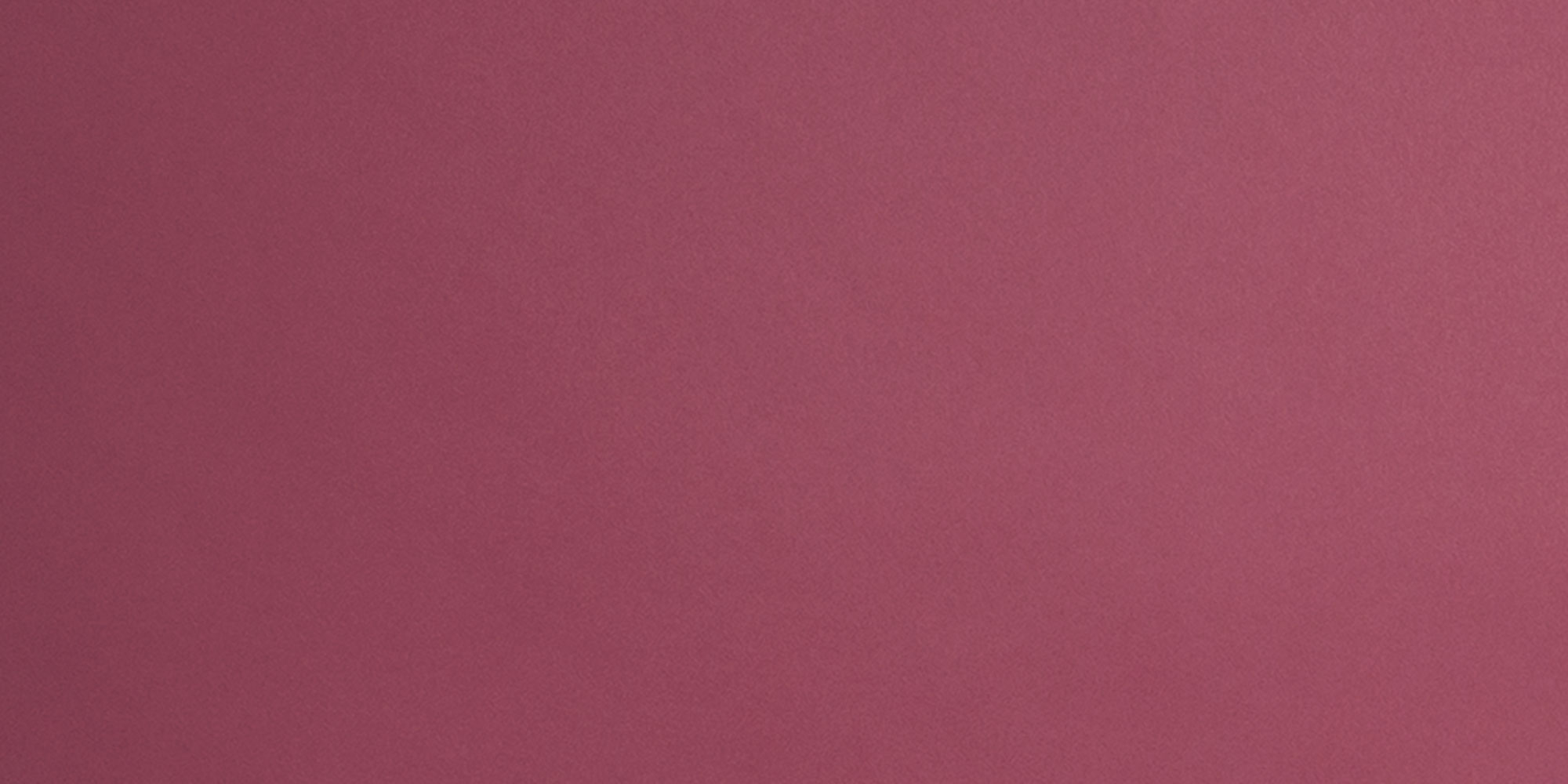 banner.jpg