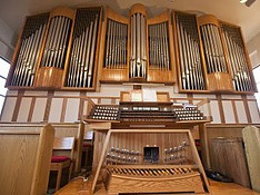 organ.jpg