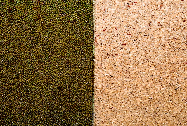 pea protein and brown rice protein powder sources