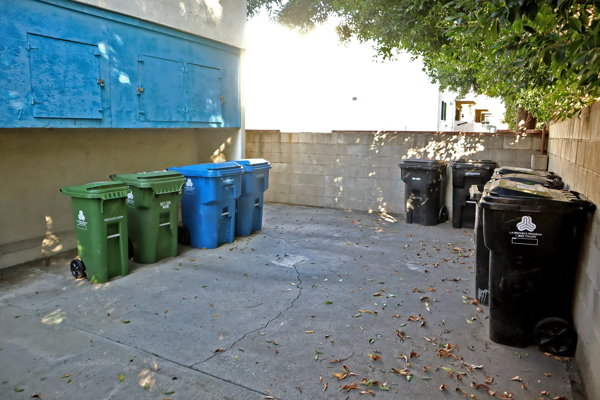 IMG_4221 - AC Edits.jpg