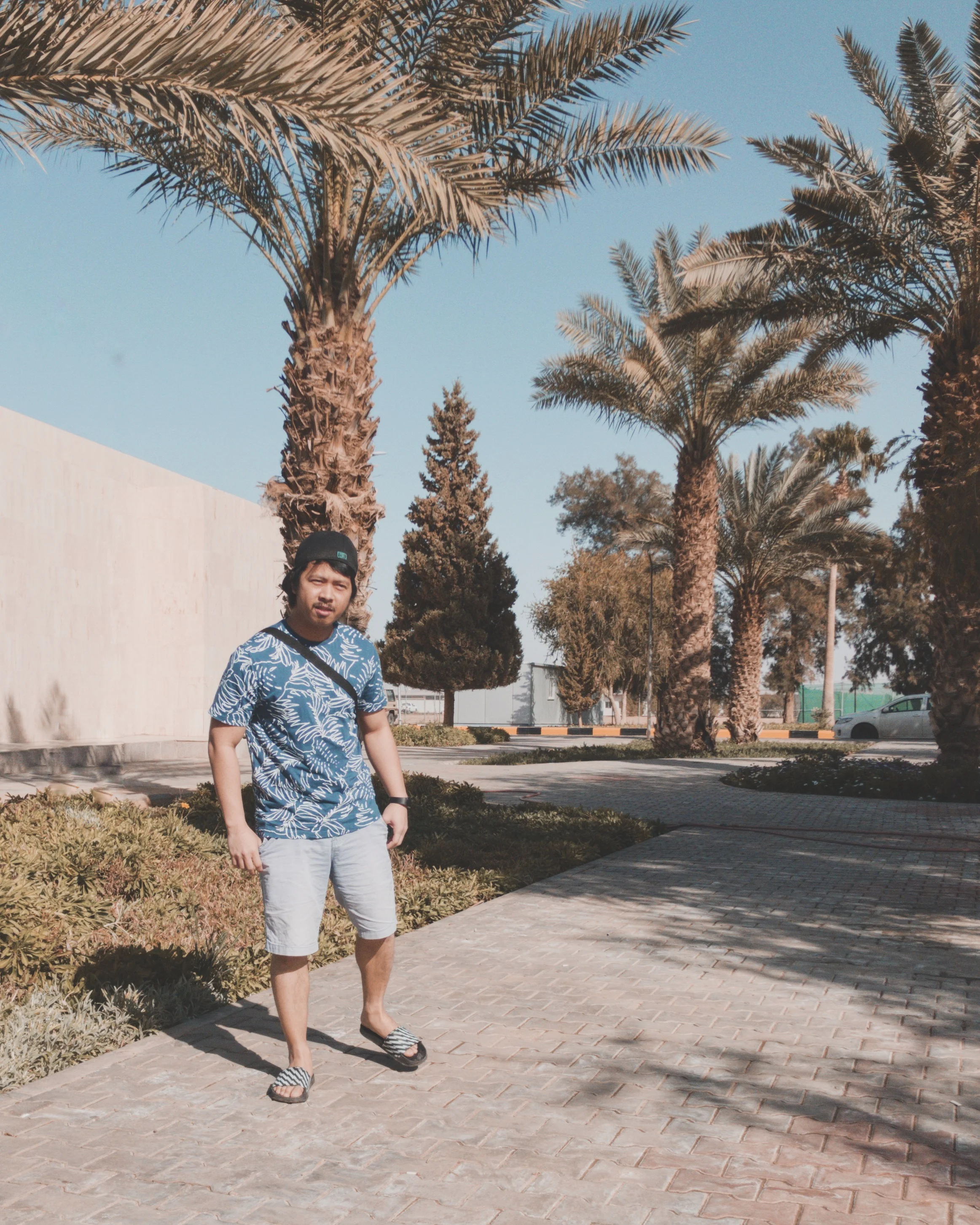 Another image with a clear subject and background. It really depends on your preference. Everything seems to be focused when you are shooting subjects far away from the camera.