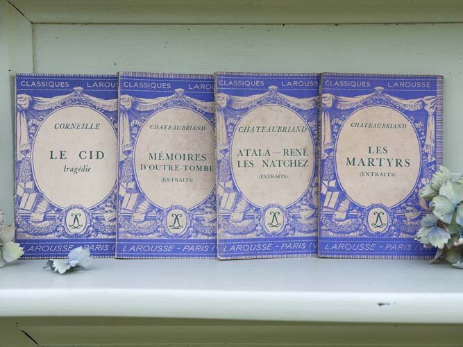 Set of 8 French books Classic Larousse — Brocante Ma Jolie
