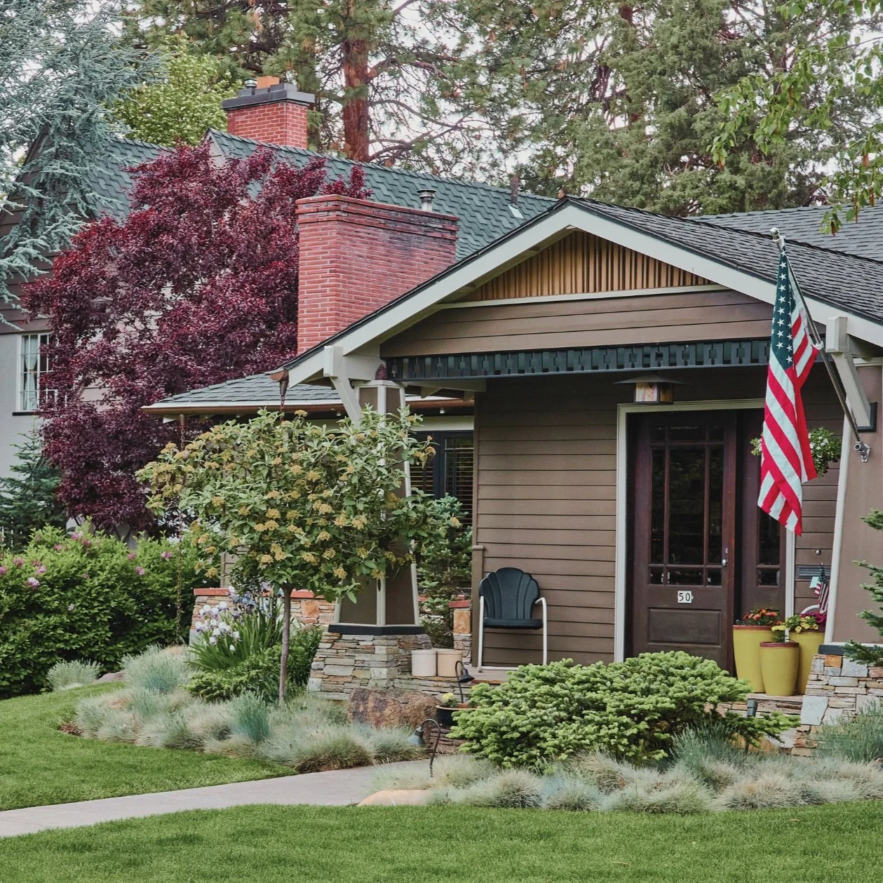 A Guide to Mold Resistant Paint for Homeowners