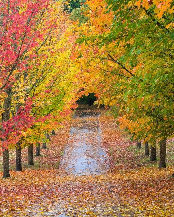 The first day of fall is here! Bring on the color inspo 🍂😎