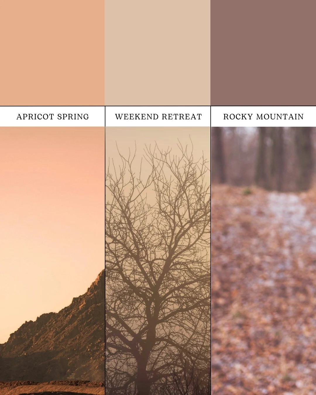 A cozy fall trio 🍂