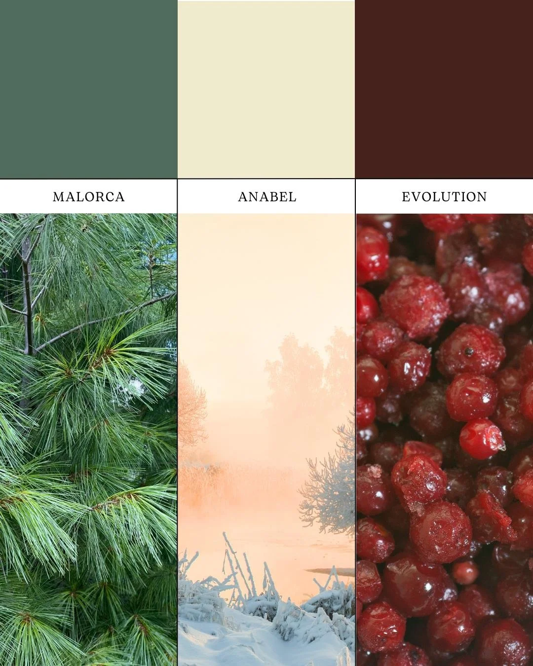 Traditional holiday colors never go out of style.
Deep evergreen, cranberry red, and a warm candle-glow cream make for a palette that feels both nostalgic and fresh. 🎄🕯️

#ColorPalette #InteriorDesign #HomeInspiration #DIYHomeProjects #PNWHomes #Co