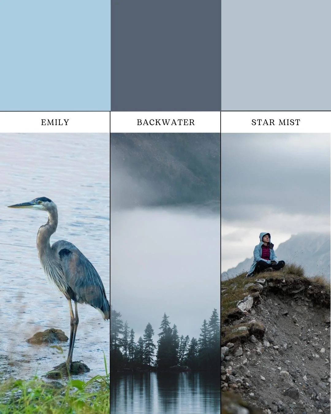 January is here, and it&rsquo;s the perfect time to reset with cool, refreshing color. Rainy shades of blue inspired by the Pacific Northwest bring a calm, natural feel to your home. 🌧️🎨

#ForrestPaint #JanuaryColors #BlueTones #PNWInspired #PNWHom