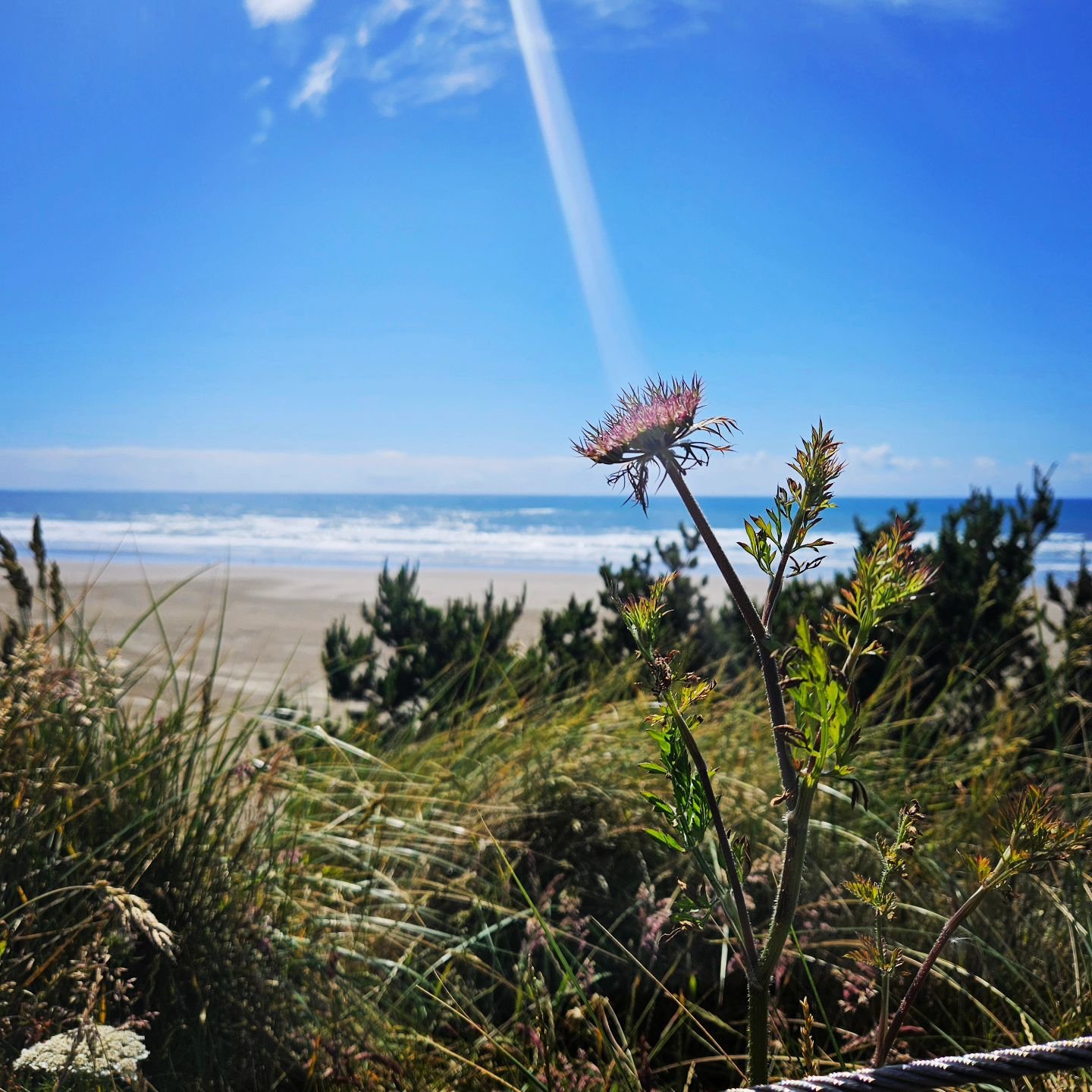 I'm going to keep following, sharing, and creating the ✨️Magic✨️

This summer has shone brightly in terms of wonderful moments, and unfortunately, the brighter the light - the greater the shadow. 

While sharing the joys and wonders of our family's a