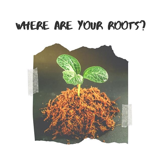 I have been reading through a book this year for Lent and it keeps bringing up the idea of roots. Roots are hidden underground and do not receive acknowledgement or praise, but their reward comes from what they produce.

This stuck with me. If roots 