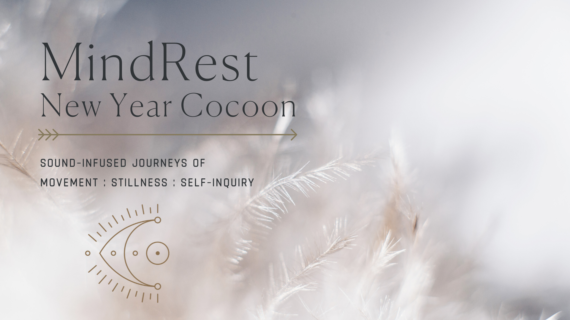 MindRest 002: New Year Cocoon - Charity Event