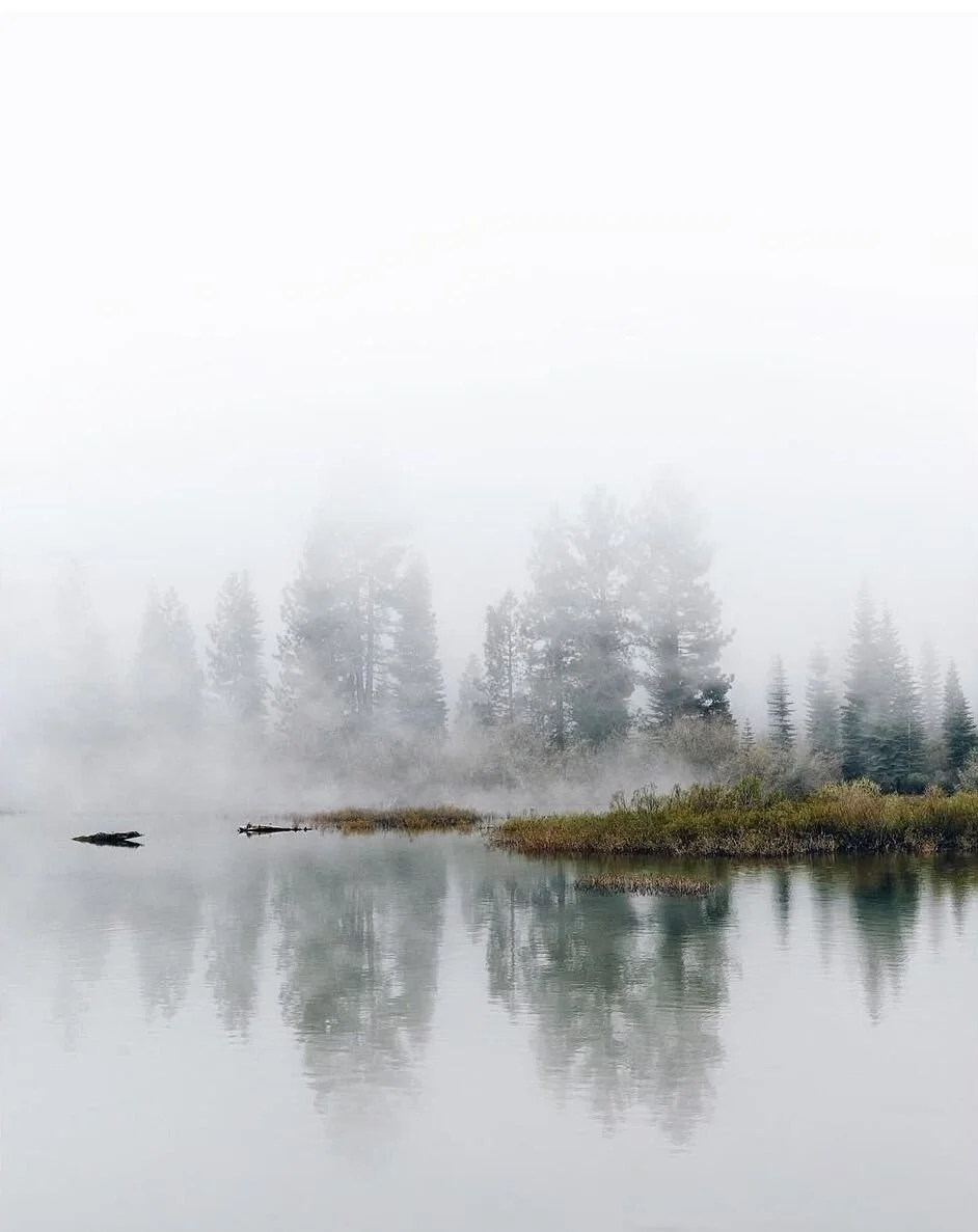 MindRest : Autumn [Live at Studio Soma]