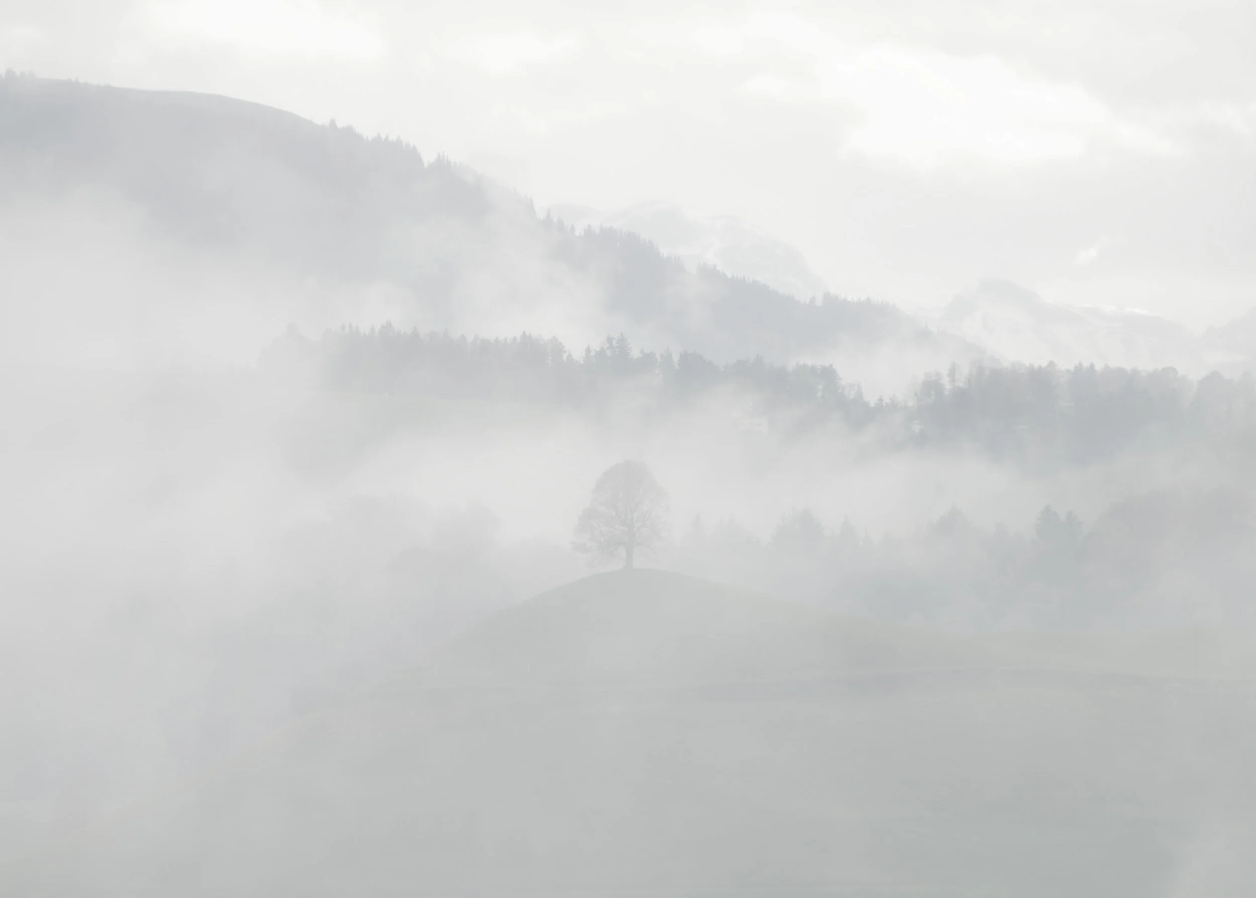 Immaculate Conception