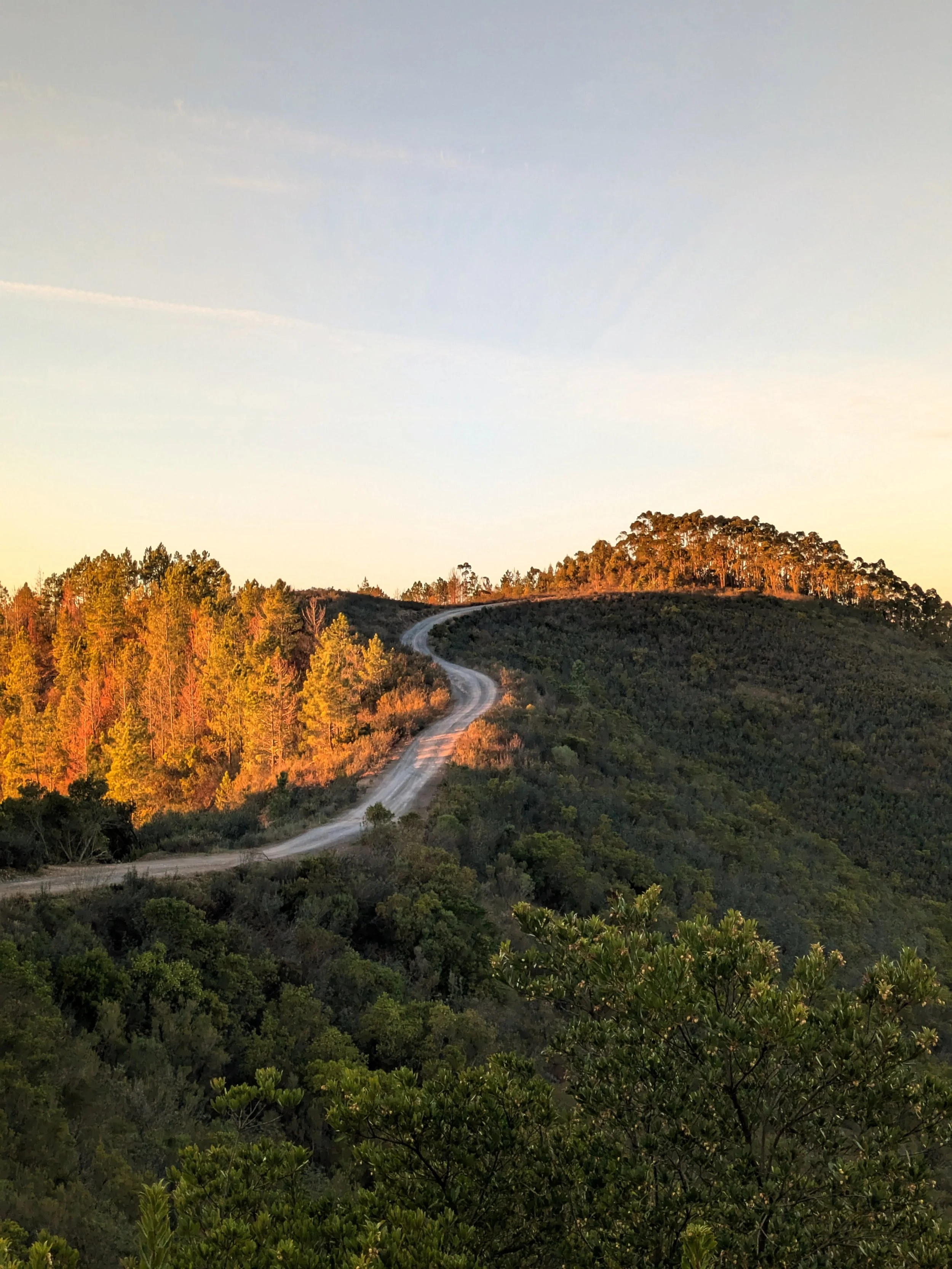 2026, from Darkness to Light...or so say the stars