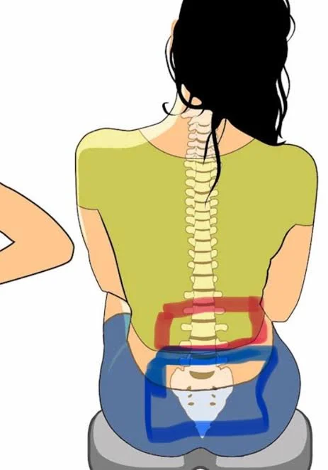Tailbone Pain vs. Lower Back Pain: How to Tell the Difference