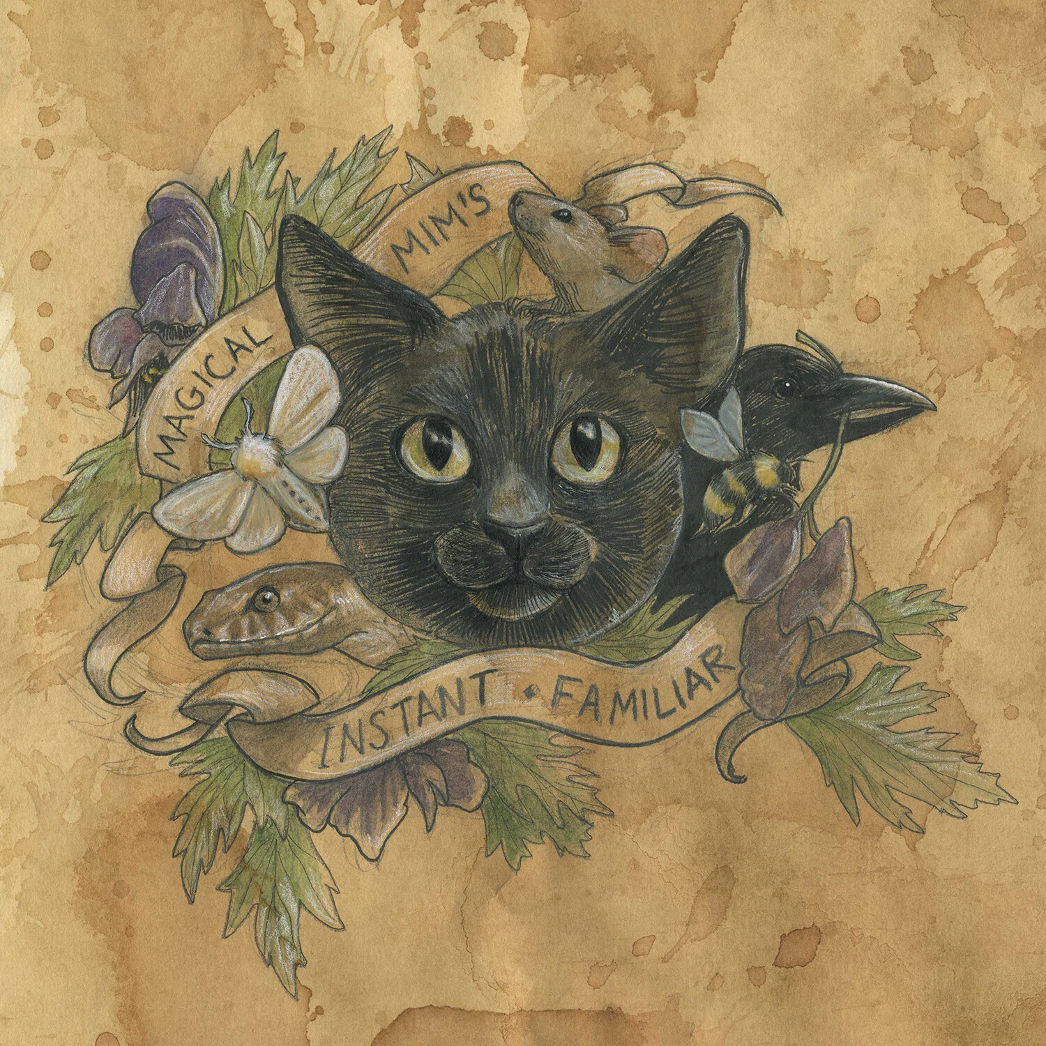 Amber stone-thetoad_instantfamiliar.jpg
