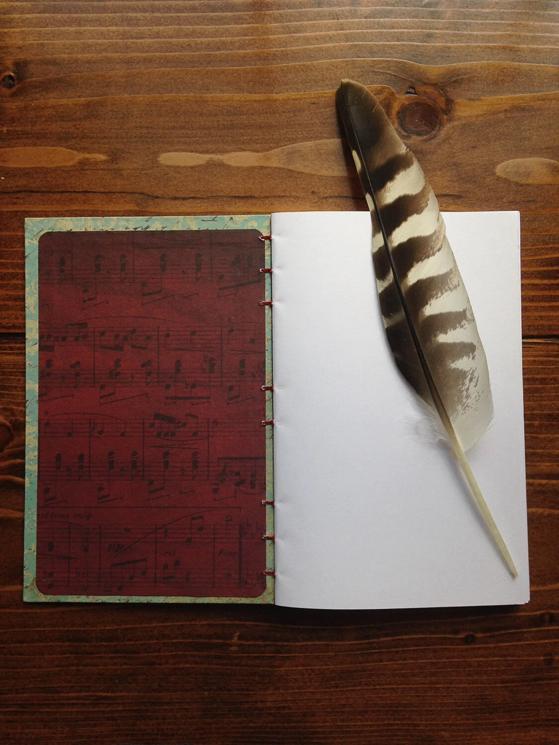 john and cody martin little house journals IMG_4722.jpg