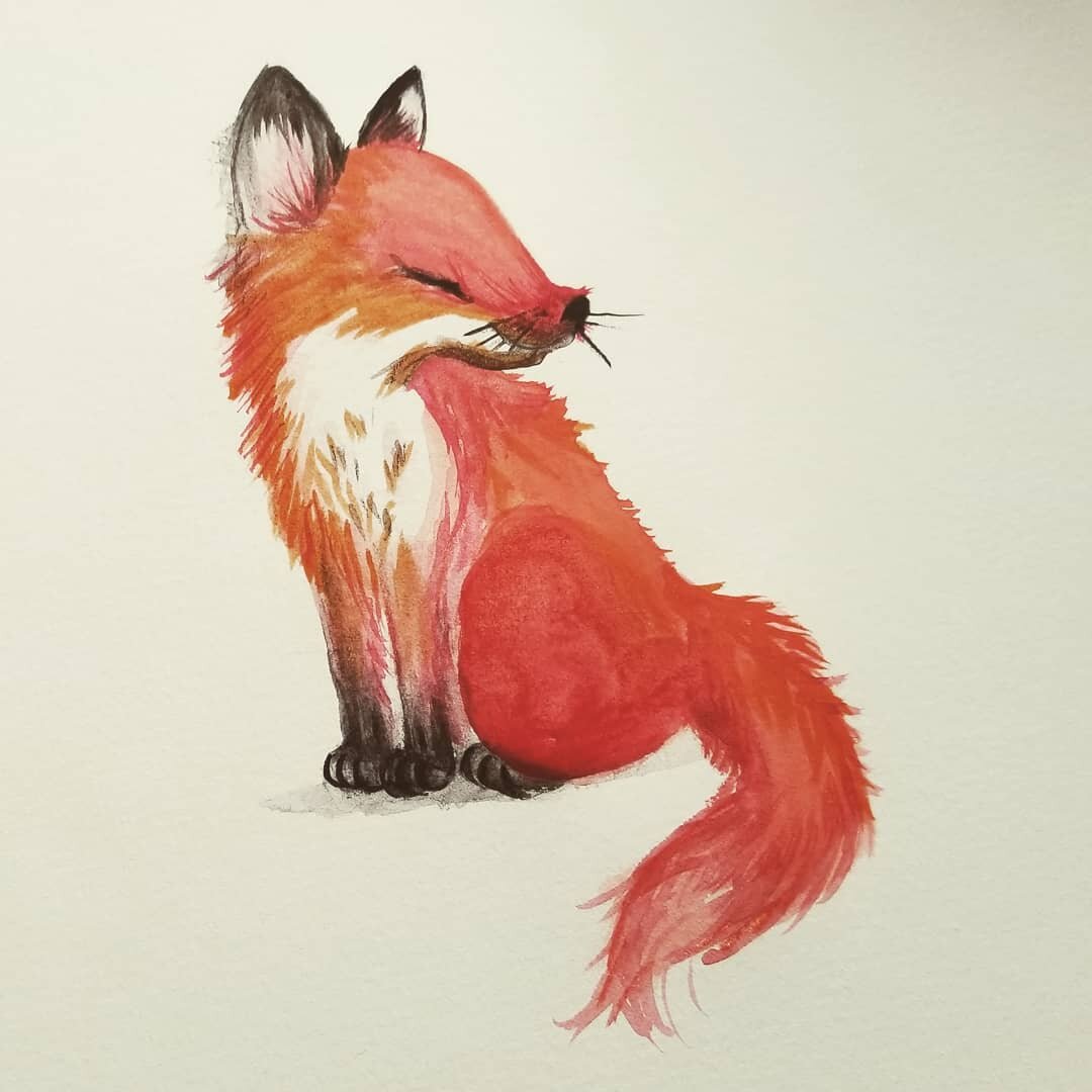 Aubrey Prunty- cozy fox.jpg