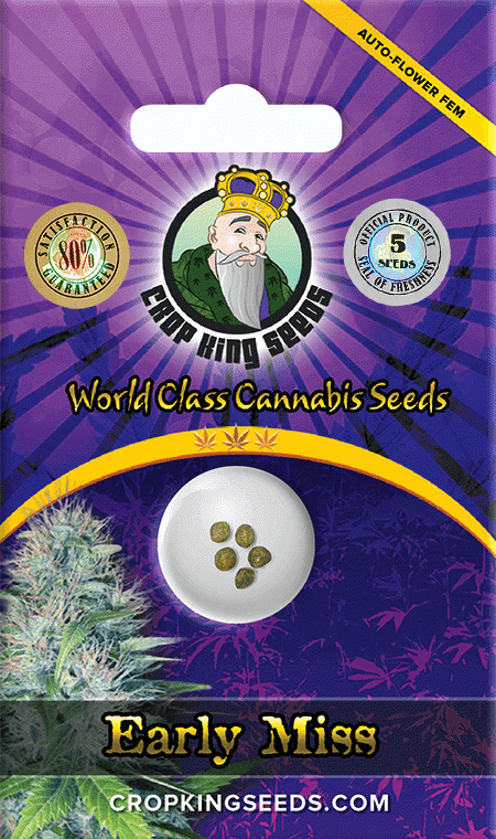 Early-Miss-Autoflower-Marijuana-Seeds.png