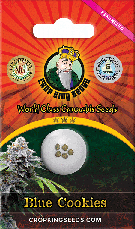 Blue-Cookies-Feminized-Marijuana-Seeds.png