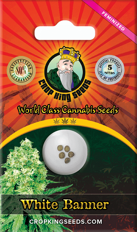 White-Banner-Feminized-Marijuana-Seeds.png