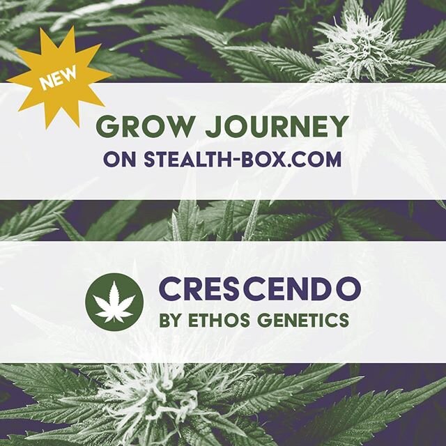 A new Grow Journey photo journal is available on our website! Just head to the &quot;Grow Journey&quot; tab to see Stealth Box in action, growing Crescendo RBXVII by Ethos Genetics! 🌱
#organic #ugrow