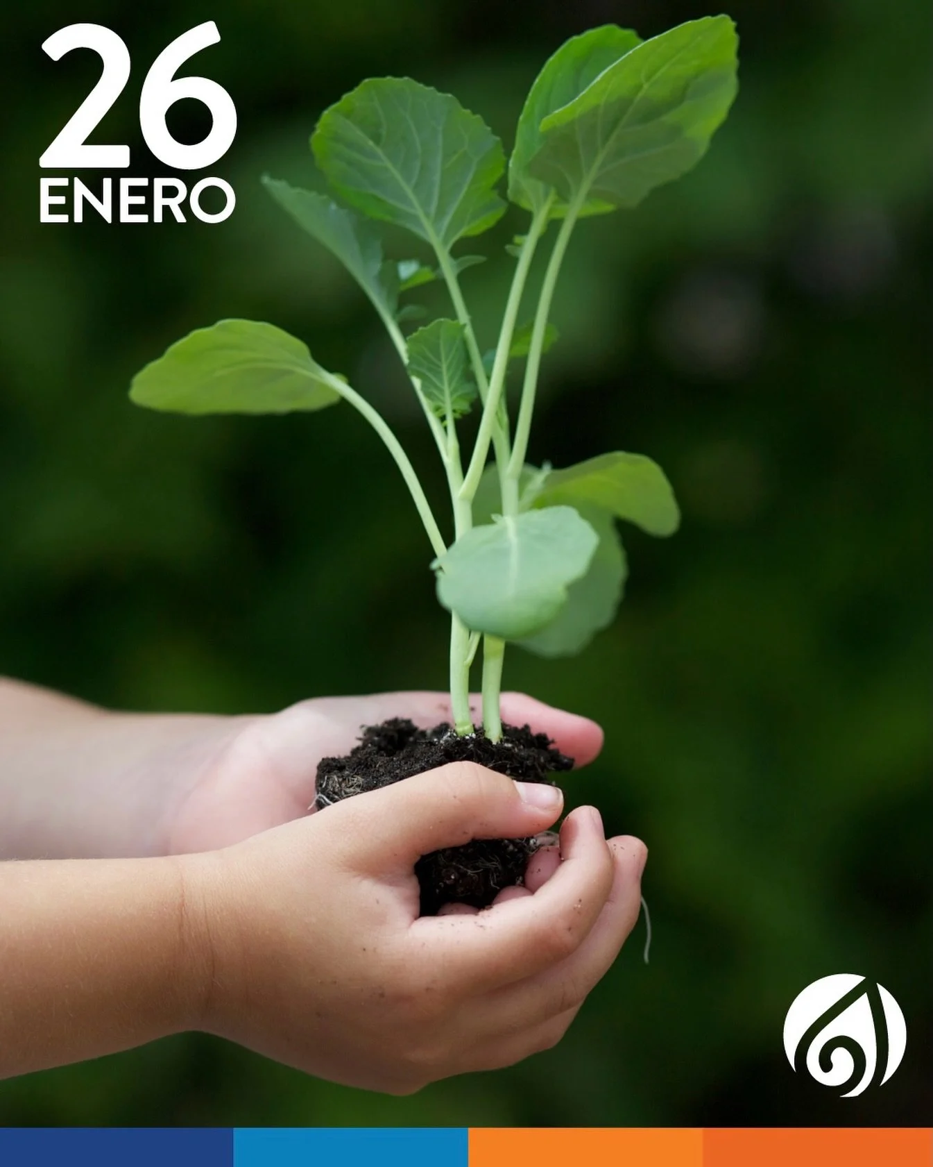 🌎💚 Hoy, en el D&iacute;a Mundial de la Educaci&oacute;n Ambiental, recordamos que educar tambi&eacute;n es ense&ntilde;ar a ni&ntilde;as y ni&ntilde;os a cuidar, respetar y responsabilizarse del mundo que habitan.

No se trata solo de aprender sobr