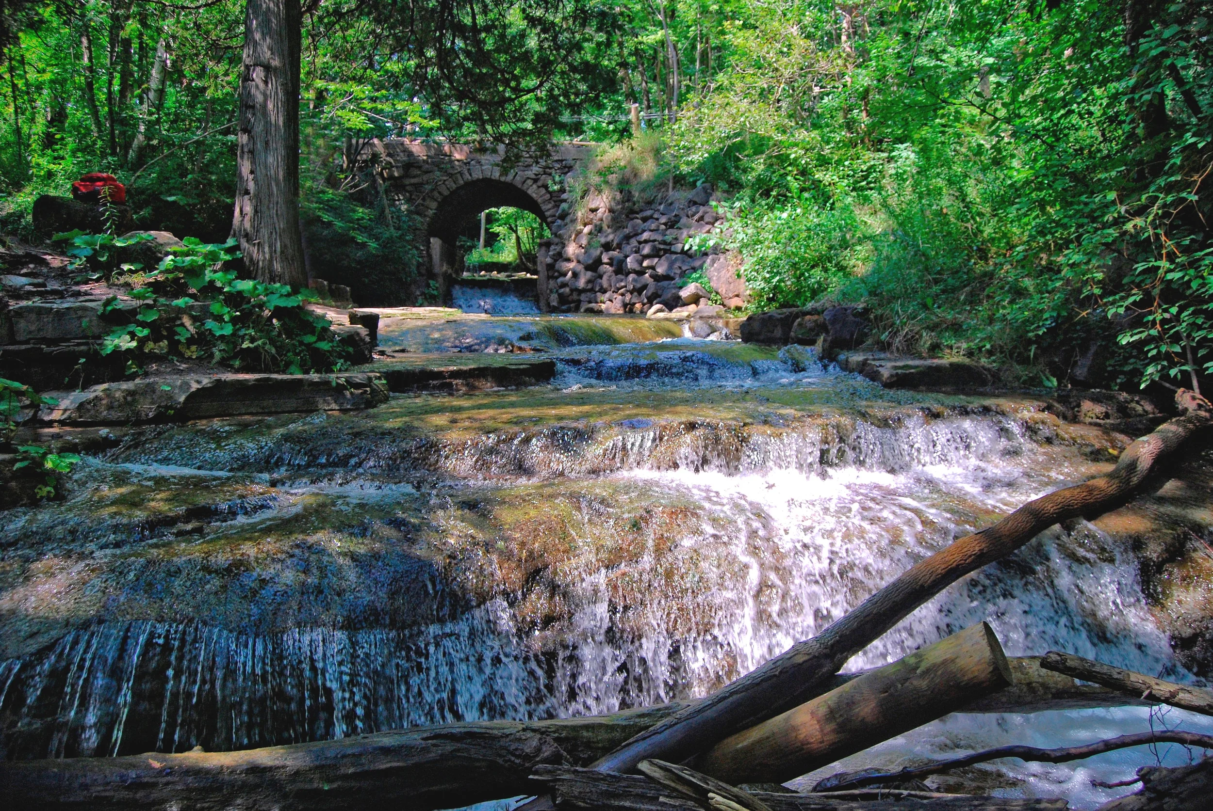 Silver_Creek_Conservation_Area.jpg