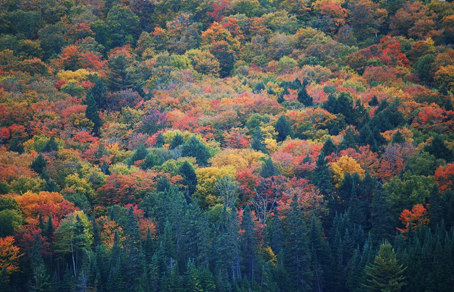 sep2010_6.jpg