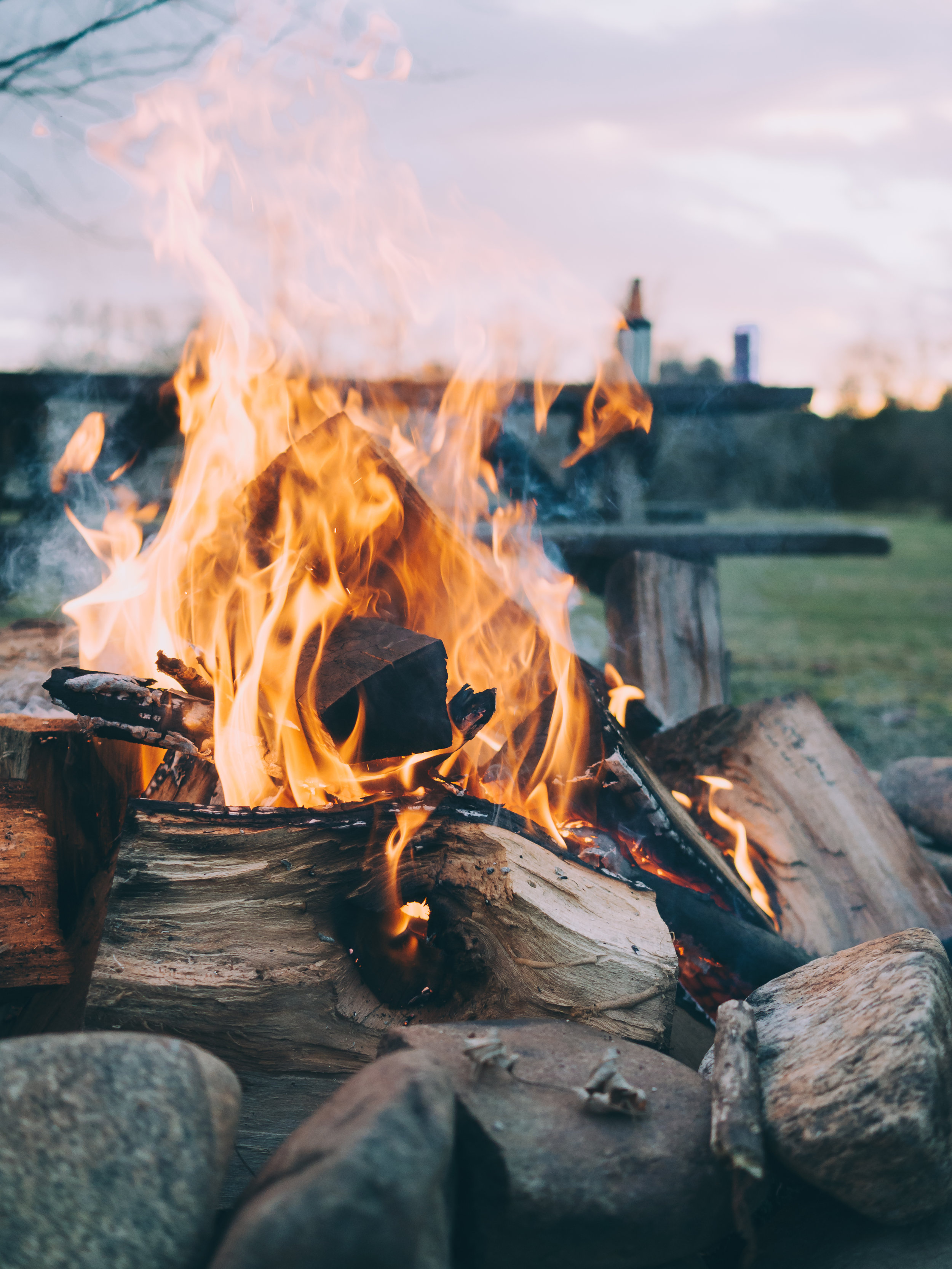 Campfire at Christie Pits