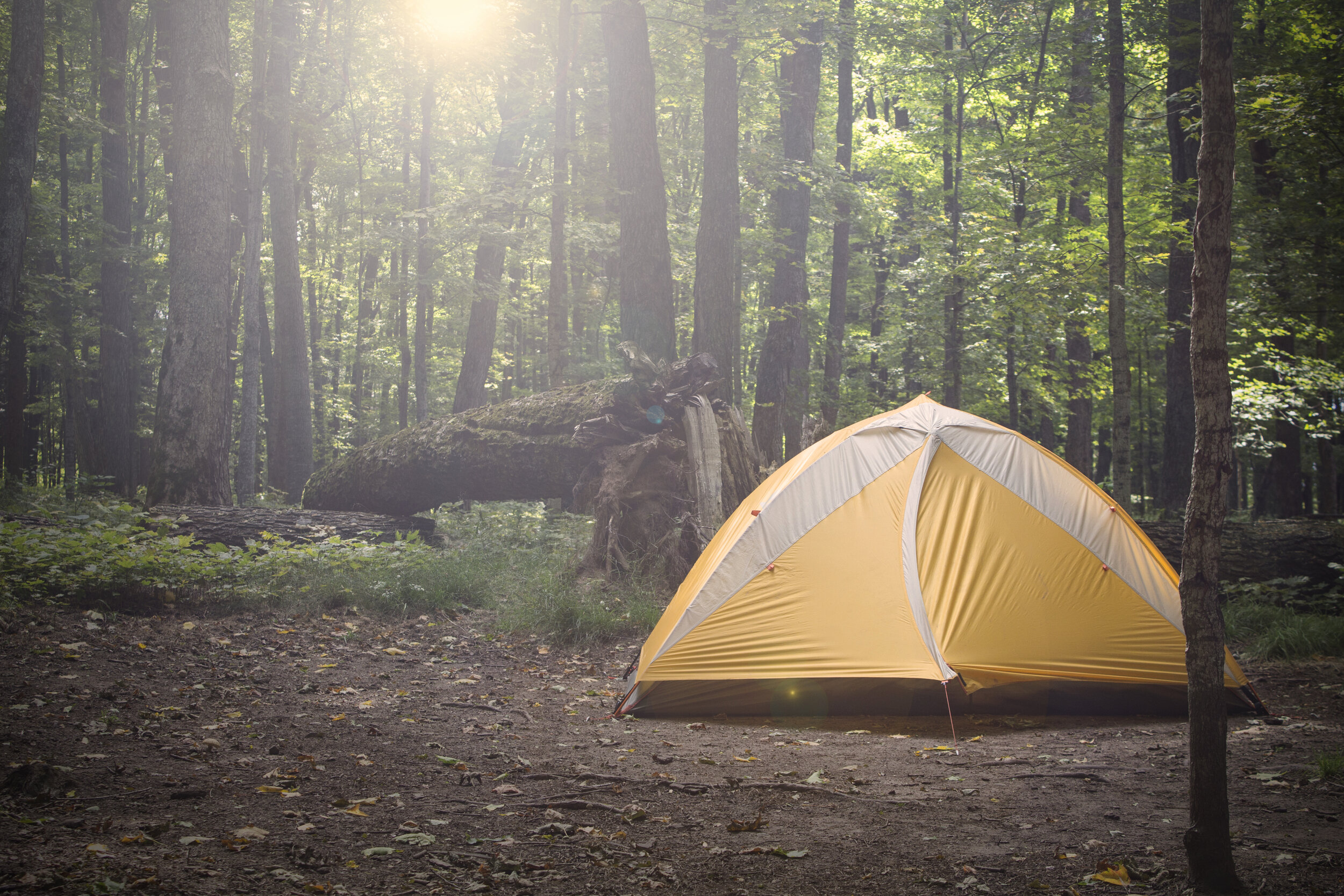 Camping Trip in Algonquin