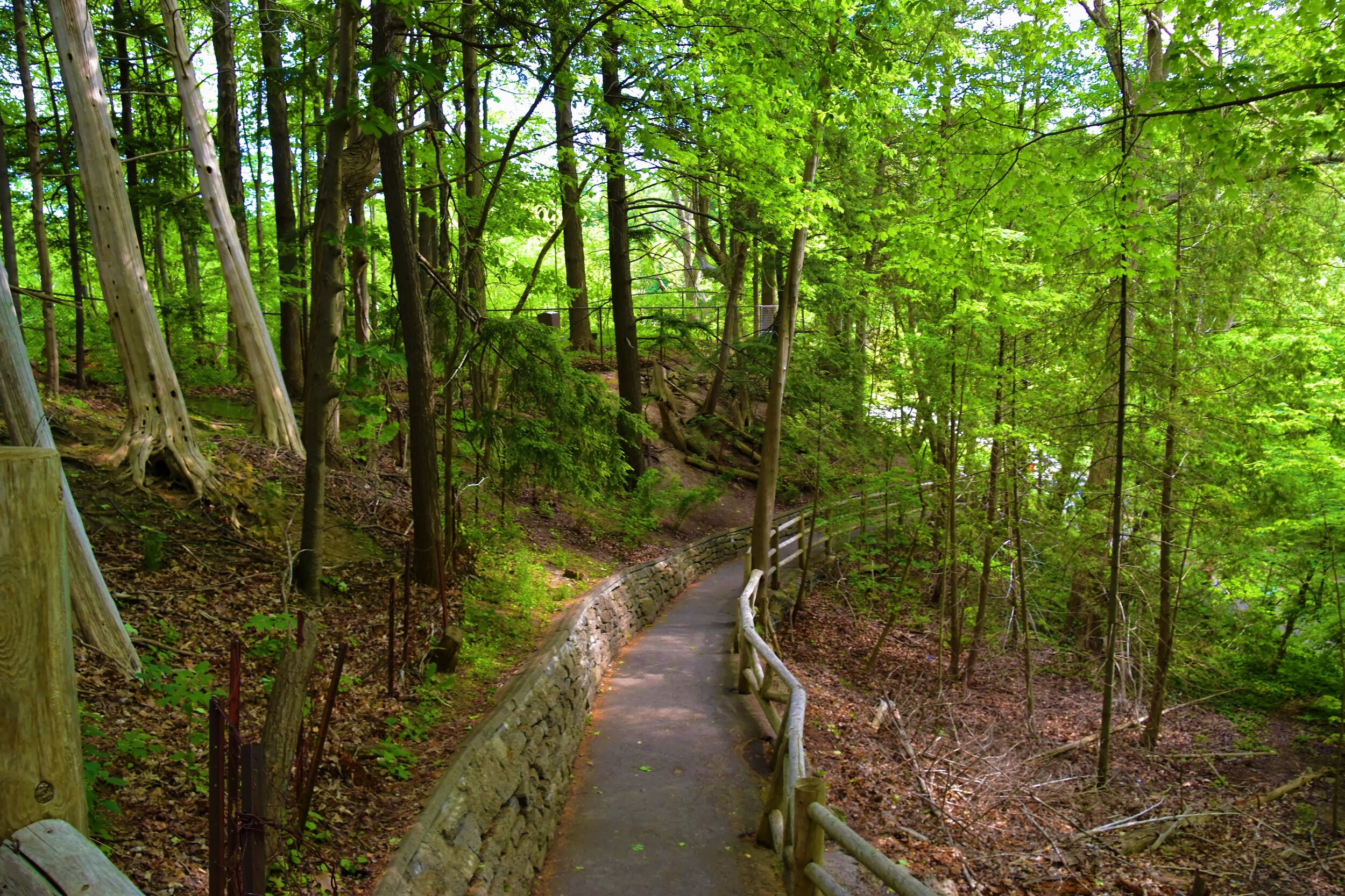 Forks of the Credit 