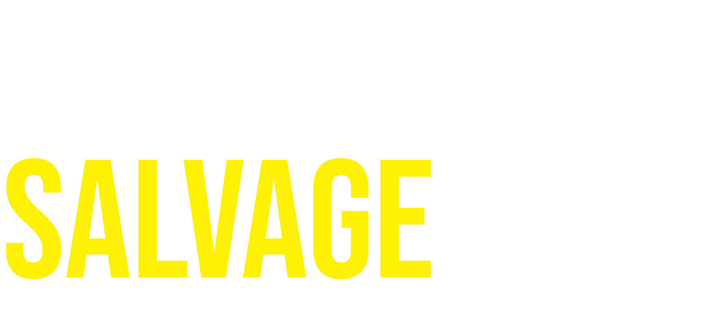 WARREN SALVAGE