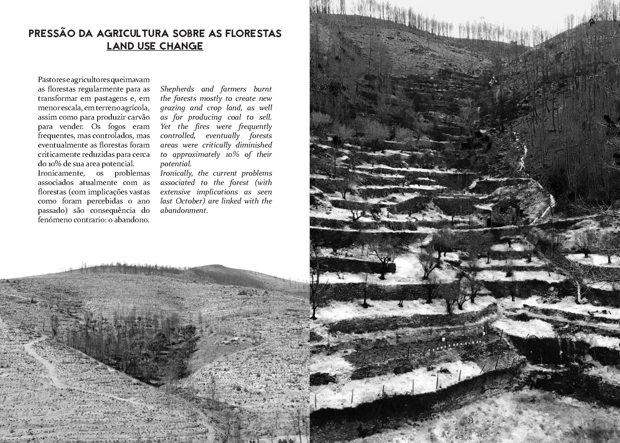 Almanaque_Page_17.jpg