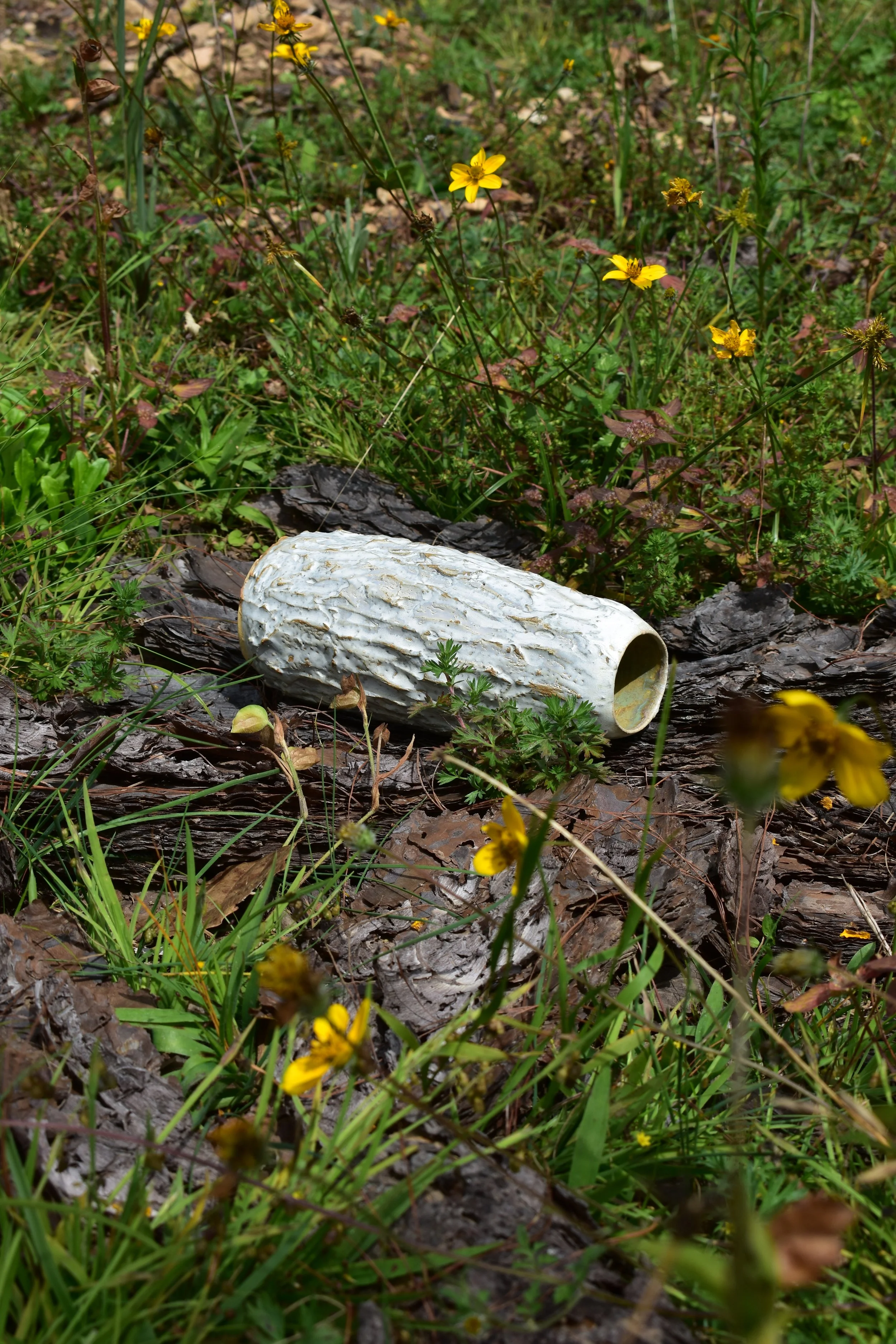 DSC_0356.JPG
