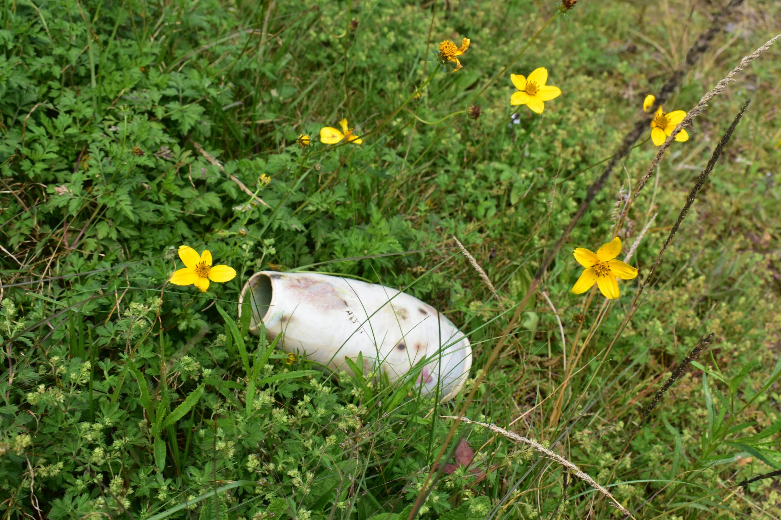 DSC_0319.JPG