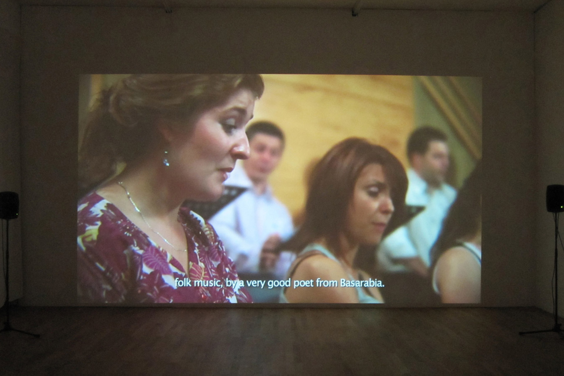 Irina-Botea-Kunsthalle-Winterthur-2011.jpg