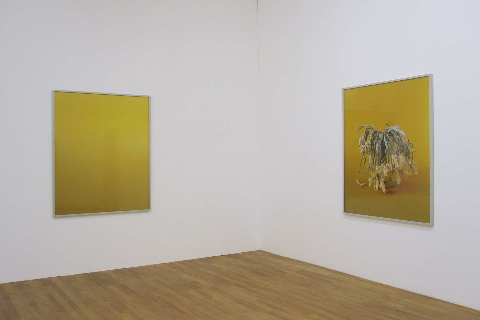 Susanne-Kriemann-Kunsthalle-Winterthur-2011.jpg